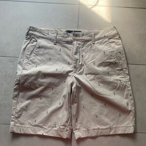 MEN’S Hollister Tan and Blue 🍍  Shorts